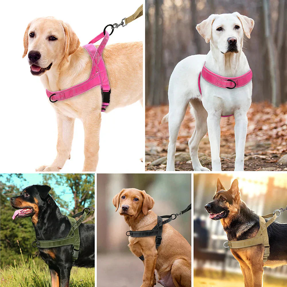 PowerLead | No-Pull Harness with Reflective Features