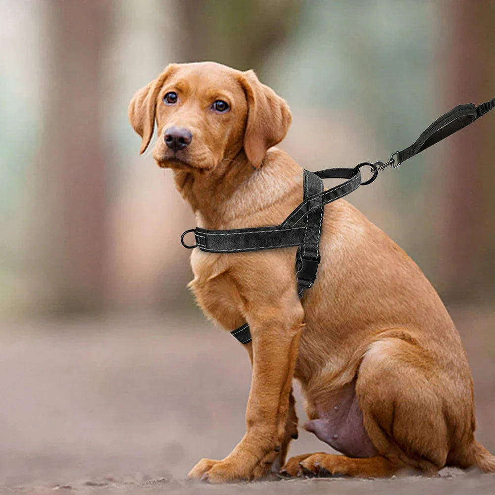 PowerLead | No-Pull Harness with Reflective Features